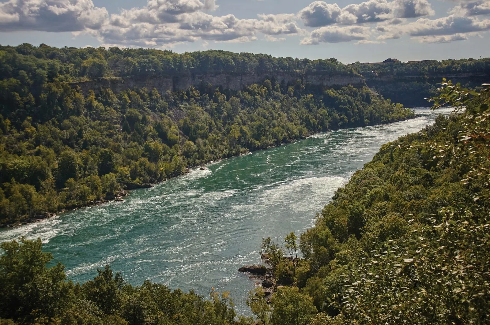 The Niagara river gorge surrounded by forest near Wellwood